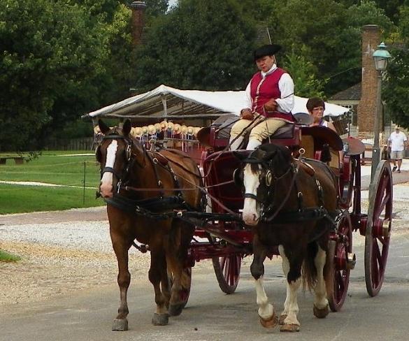 Reenactor driving a horse-drawn carriage through Williamsburg.